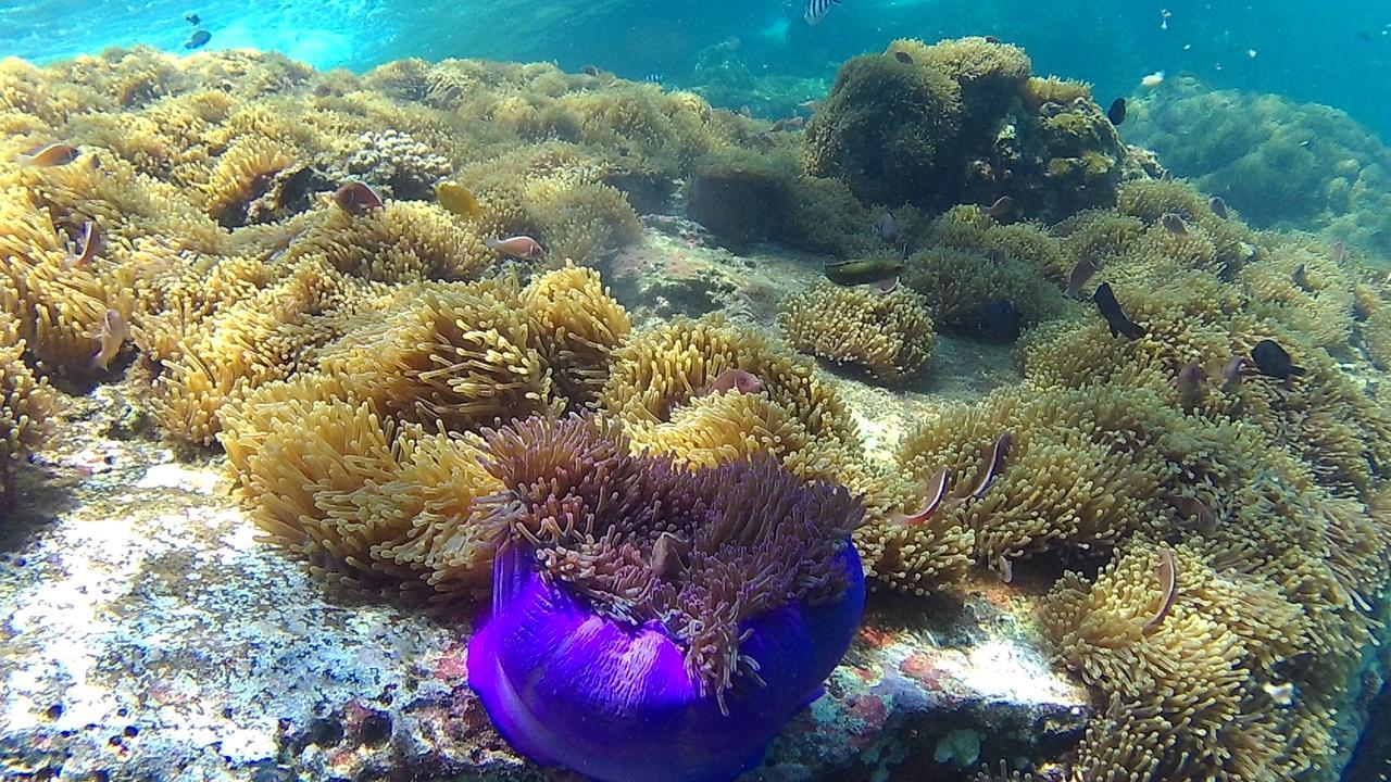 Green Adamas Resort Chumphon Luaran gambar